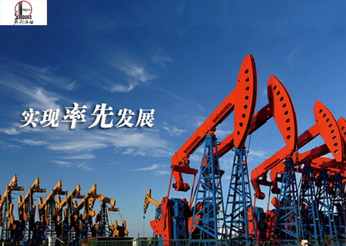 勝利油田東營公司--防爆電機(jī)使用用戶案例 勝利油田東營公司--防爆電機(jī)使用用戶案例