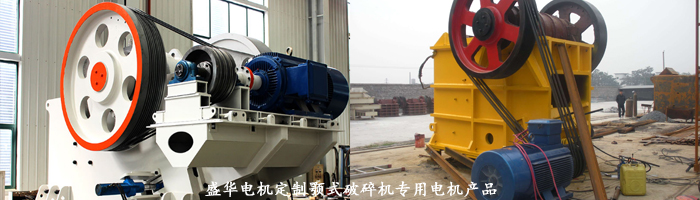 山東盛華電機生產廠家,顎式破碎機專用電機,專用電機定制 山東盛華電機生產廠家,顎式破碎機專用電機,專用電機定制