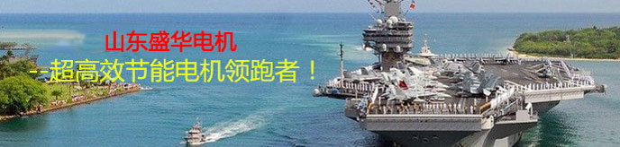 山東電機.聊城電機生產廠家,高效節能電機