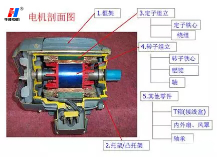 山東聊城盛華電機(jī)生產(chǎn)廠(chǎng)家,高效節(jié)能電機(jī),電機(jī)軸承