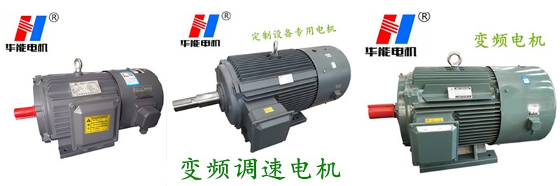 變頻調(diào)速電機(jī)