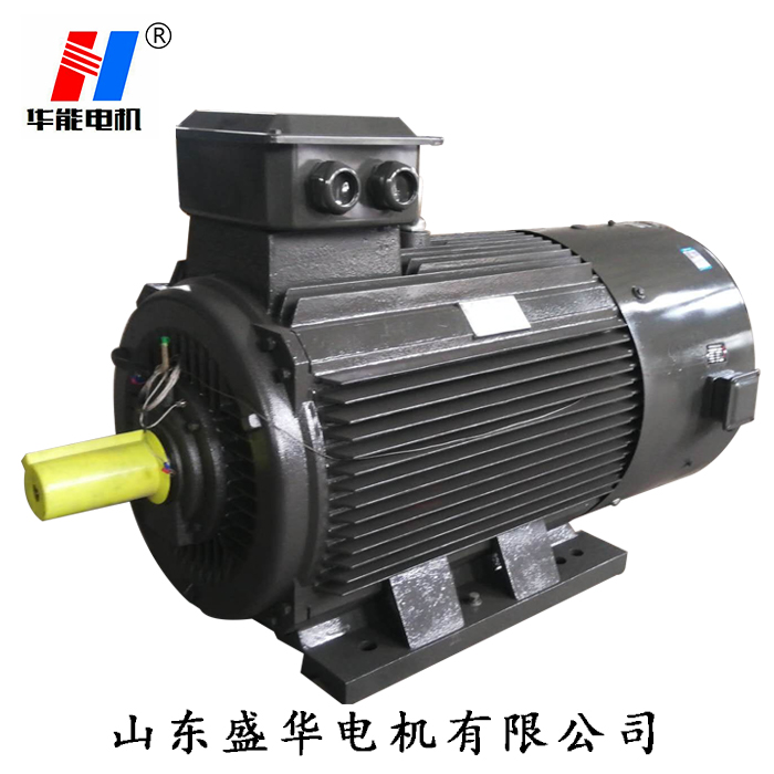 山東電機,聊城電機廠,大功率電動機,電動機