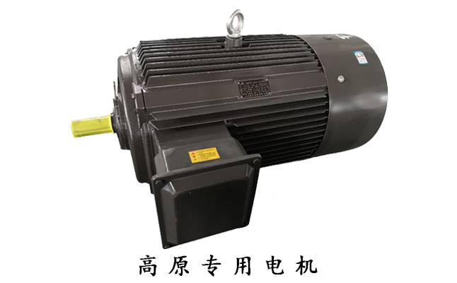 山東電機(jī)廠,高原電機(jī),三相電動(dòng)機(jī)