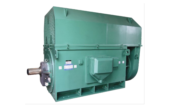 山東電機(jī)廠,盛華電機(jī),三相電動機(jī),三相異步電動機(jī)