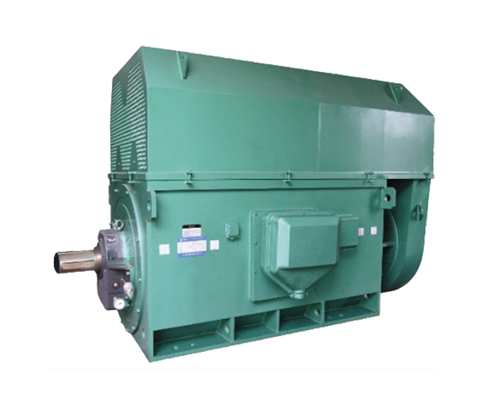 山東電機(jī)廠家,電機(jī)生產(chǎn)廠家,大功率電動(dòng)機(jī)