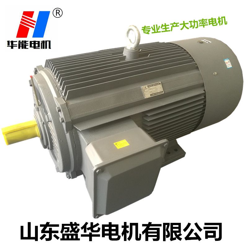 山東電機(jī)廠,電機(jī)廠,大功率電機(jī),電機(jī)