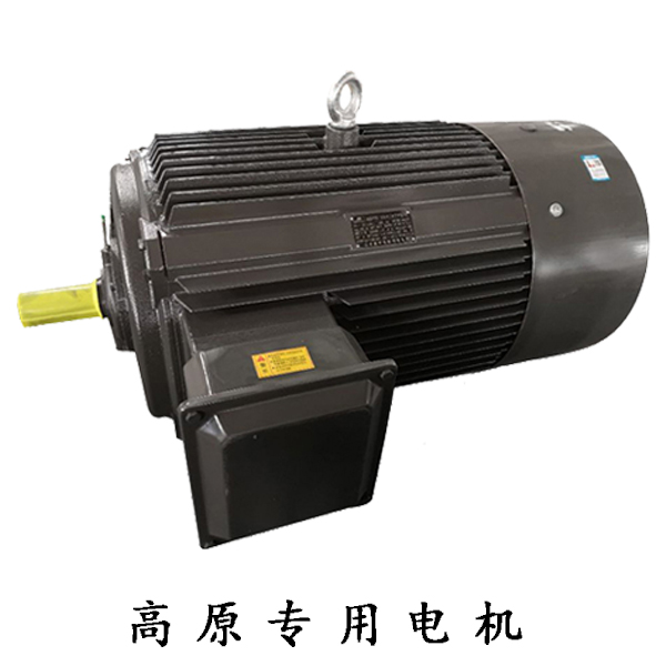 山東電機(jī)廠,高原電機(jī)廠,高原電機(jī),電動(dòng)機(jī)