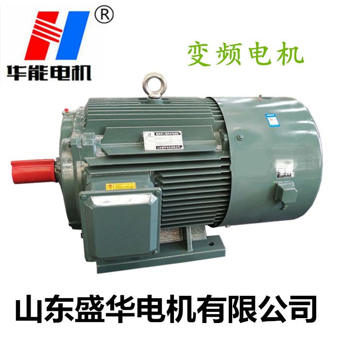 電機廠,變頻電機廠,變頻調(diào)速電動機,電動機