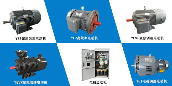 山東變頻電機生產(chǎn)廠家